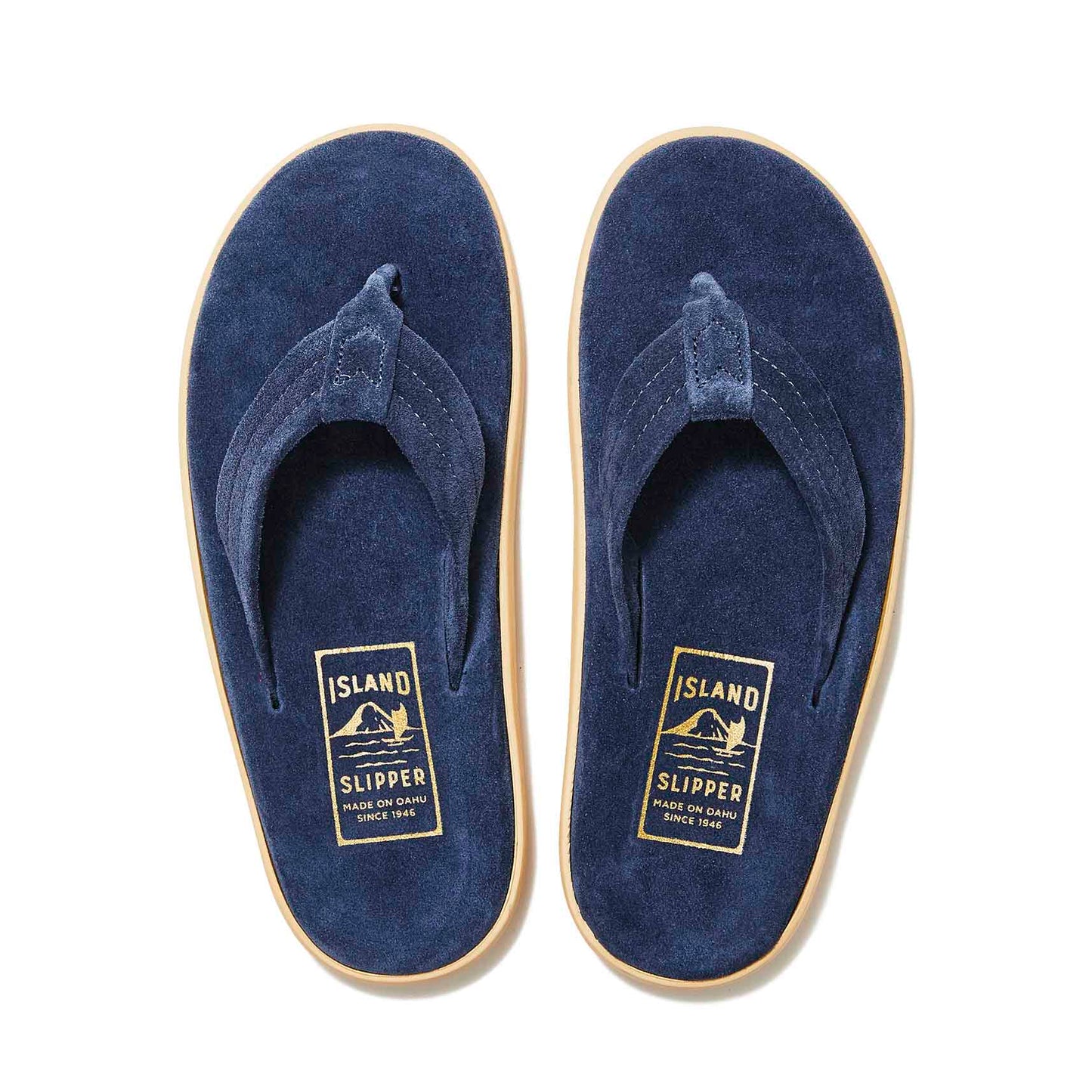 PT203 / NAVY SUEDE