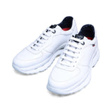 17813-5 / GLACIAL