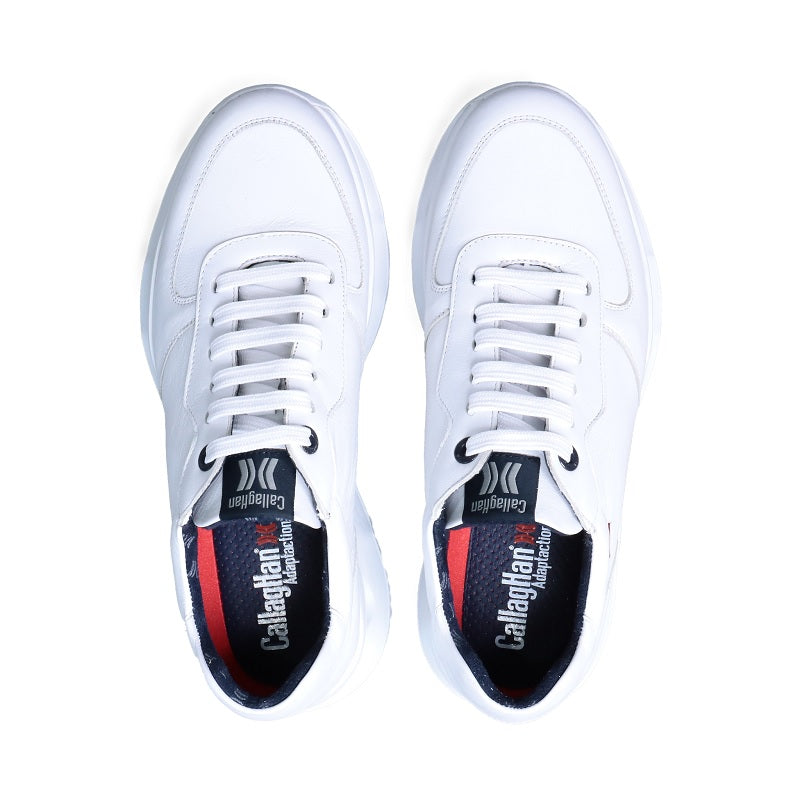 17813-5 / GLACIAL