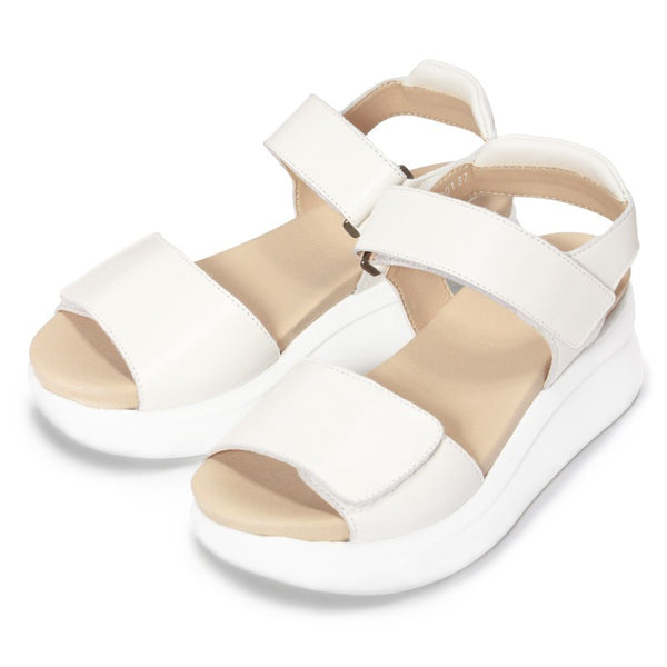 KHOKI exclusive item LILLY DEL SALONE 完売 KHOKI exclusive item LILLY DEL SALONE 完売