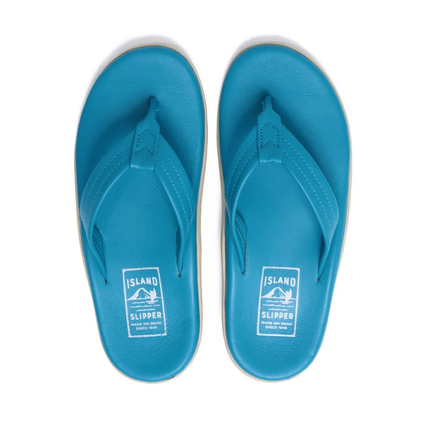 【流通限定カラー】PT202CU / BLUE