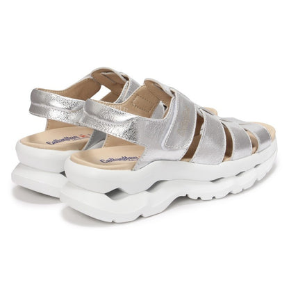 【新色】44501 / PLATA ELYS