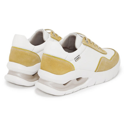 【NEW】45823 / CREMA & BLANCO