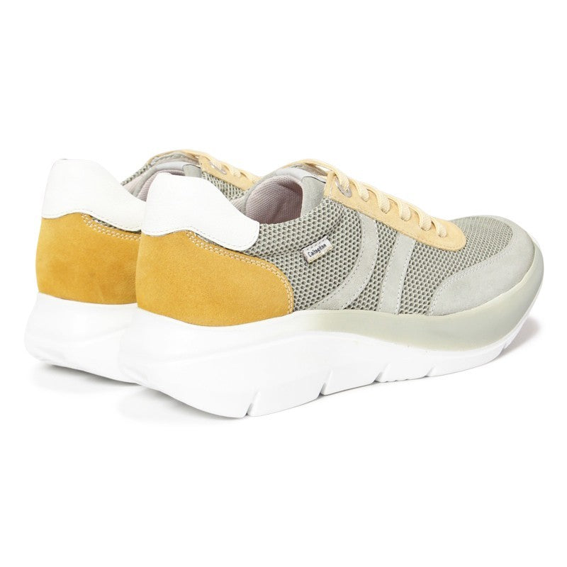 【NEW】62400 / OLIVA