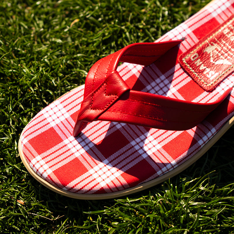 【LIMITED】PTF202RDPL 'Aiha'a / PALAKA RED