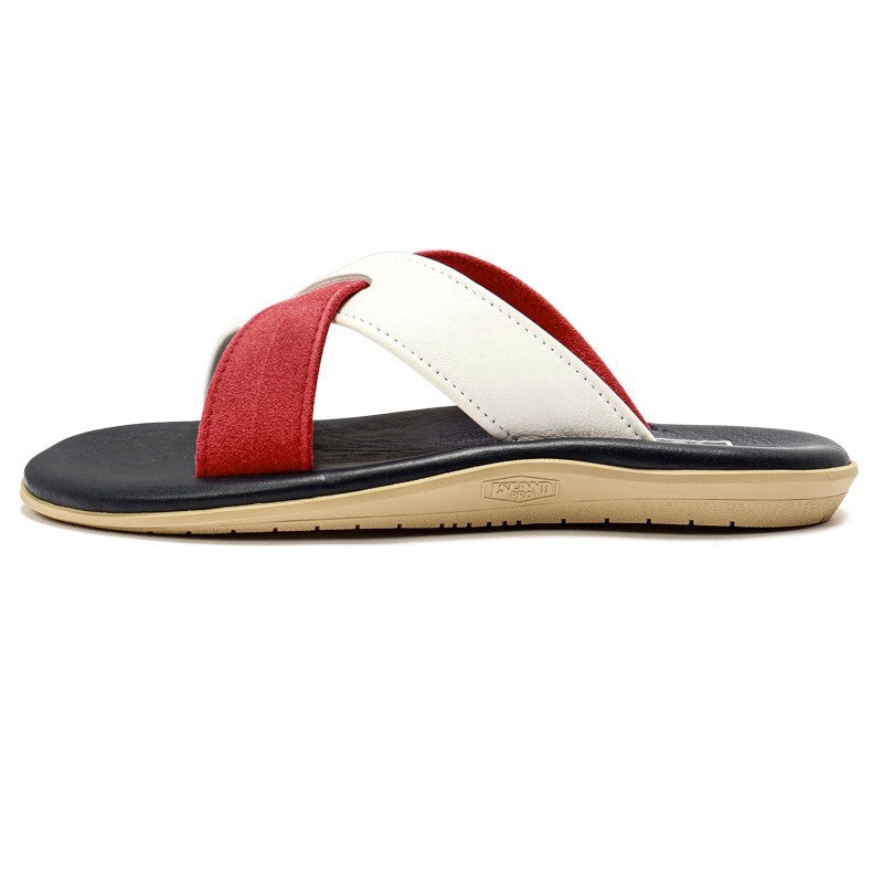 【NEW】【限定】PT223 / NAVY & RED & WHITE