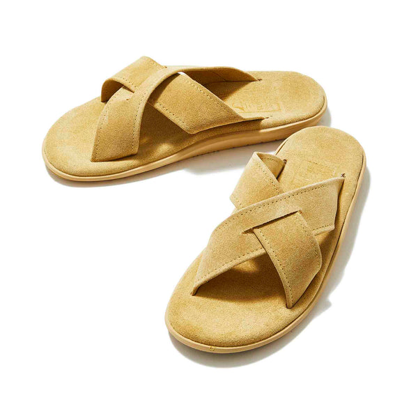 PT223 / PALOMINO SUEDE