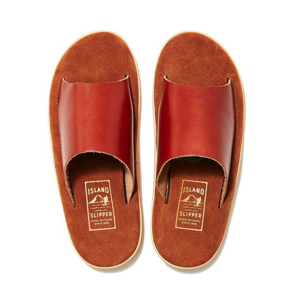 PTS705 / COGNAC × COGNAC SUEDE