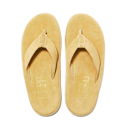 PT203 / PALOMINO SUEDE