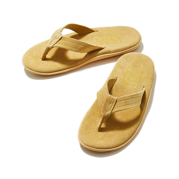 PT203 / PALOMINO SUEDE