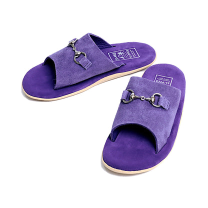 【当店限定カラー】PTS705BHR BIT / PURPLE